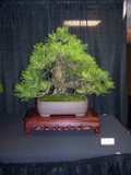 Annual Show 2011 - 1 2011